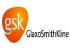 GSK, 2제요법 단일정복합제 FDA에 신약 허가신청