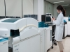 한국로슈진단, 골표지자 혈액검사 P1NP 테스트 보험급여 적용
