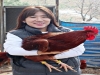 유라이크코리아, 세계 최초 닭 전용 가축 헬스케어 서비스 개발 성공