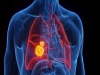 3월 21일 암 예방의 날···사망률 1위 암은 ‘폐암’