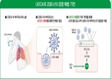 간장약 성분 ‘UDCA’가 코로나19 예방한다?