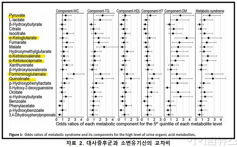 그래프.jpg